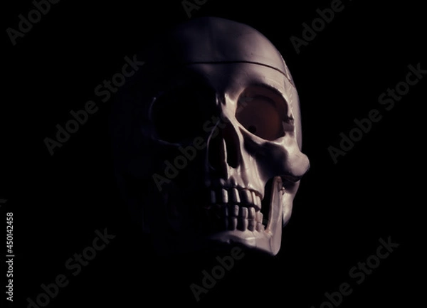 Obraz Single human skull in the darkness.