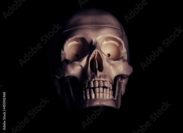 Obraz Single human skull in the darkness.