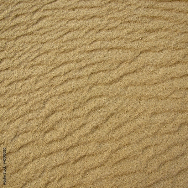 Obraz Sand Texture