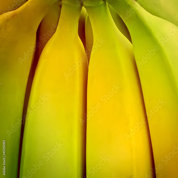 Obraz banana background