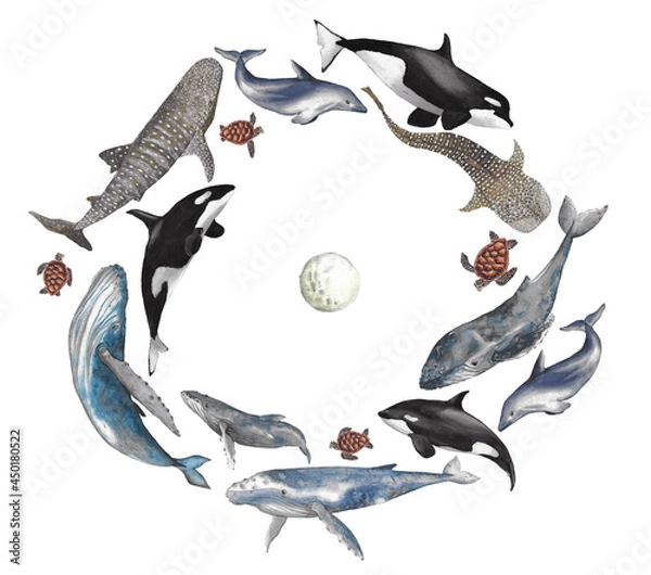 Obraz Whales and turtles circular moon composition