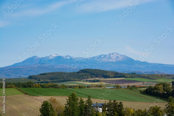 Fototapeta 秋の畑作地帯と山並み　大雪山
