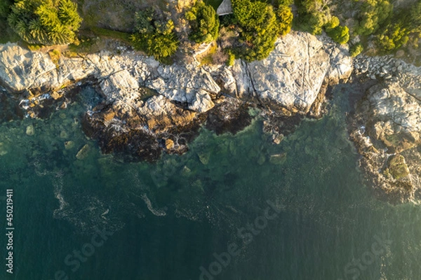 Obraz green moss on stone