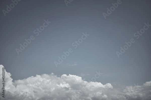 Fototapeta 真っ白な夏の雲