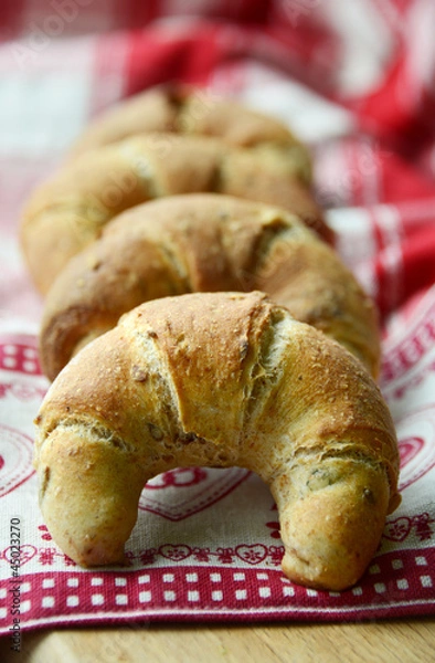 Obraz Rogale - wystawa