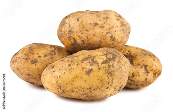 Obraz Ripe potatoes