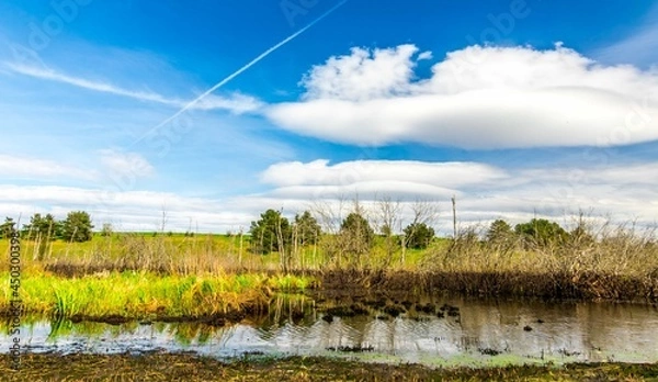 Fototapeta Krajobraz