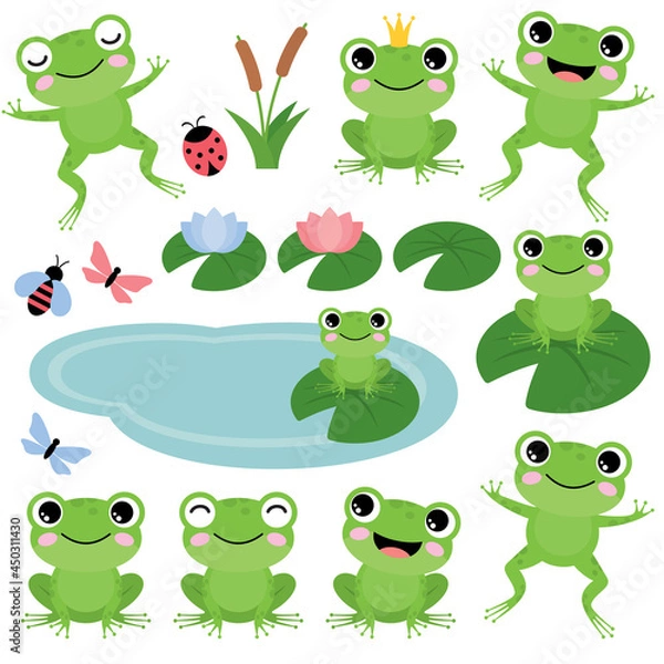 Obraz Green frogs on a white background