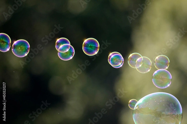 Fototapeta シャボン玉