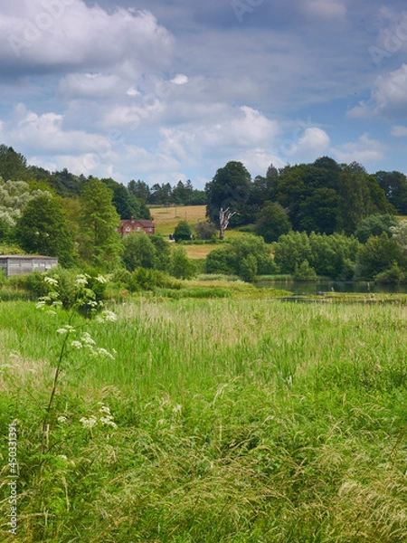Fototapeta An uncultivated field, filled with verdant growth, before a lake and a house in hillside woodland, all under a summery blue sky.