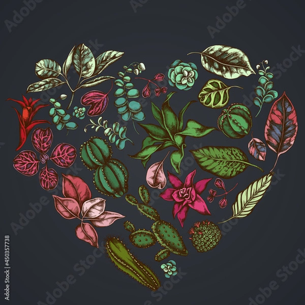 Fototapeta Heart floral design on dark background with ficus, iresine, kalanchoe, calathea, guzmania, cactus
