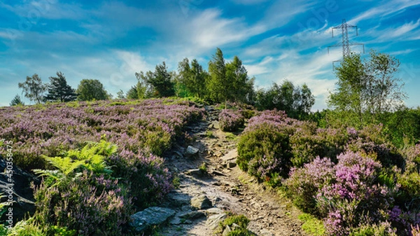 Fototapeta Trial path on top of Wharncliffe Crags. 