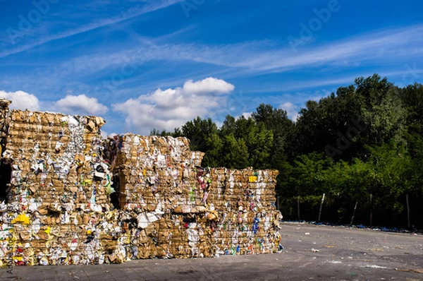 Obraz Balle di Carta 2