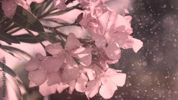 Fototapeta pink spring flowers with sprinkles of light and dust