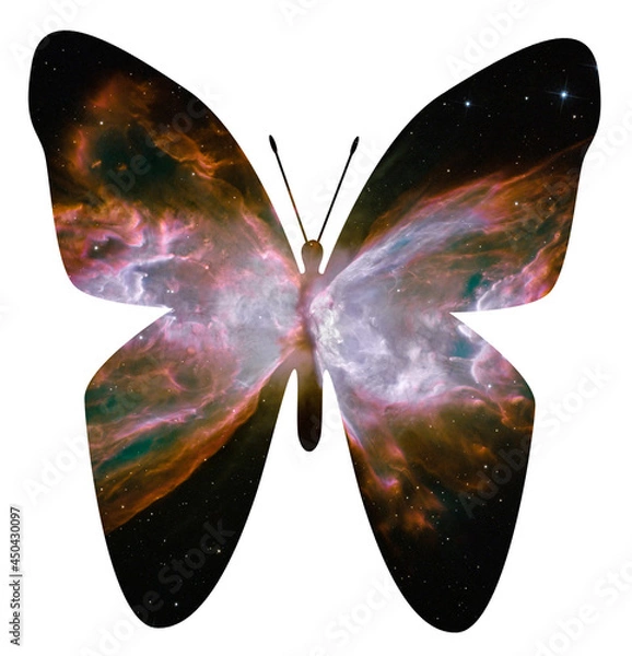 Obraz Space Butterfly NASA Hubble Images Animal
