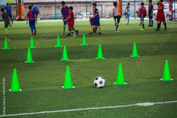 Fototapeta Soccer ball tactics cone on grass field with for training background