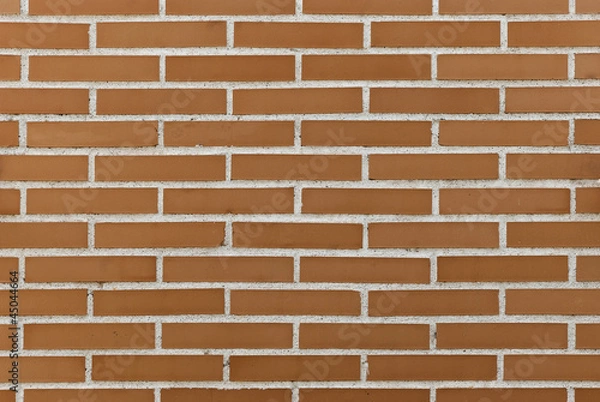 Obraz Brick Wall © ddrash