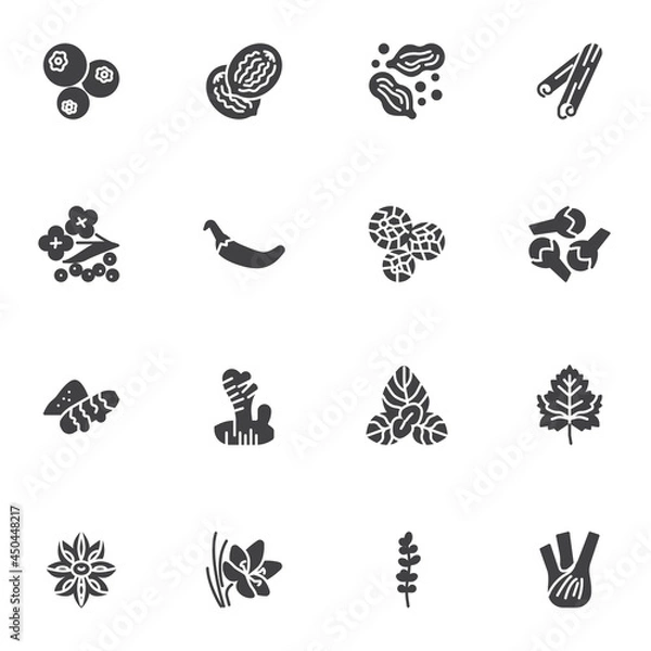 Fototapeta Spices and herbs vector icons set