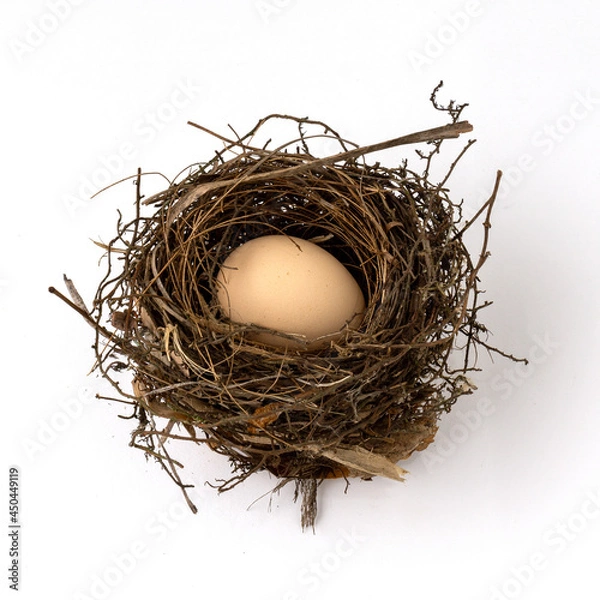 Fototapeta Bird nest isolated on white background.