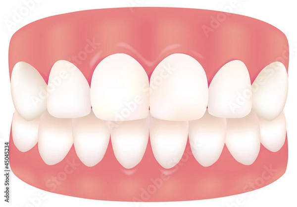 Obraz 健康な歯と歯茎