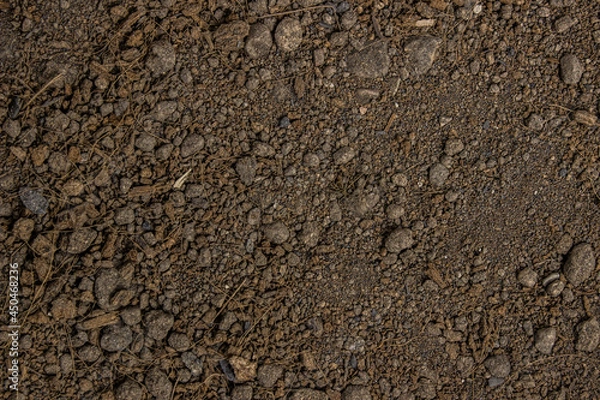 Fototapeta A brown soil texture using for a background.