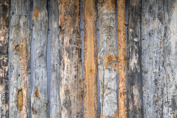 Fototapeta Cut a tree. The texture of the bark of different types of trees. Wood background. Untreated logs