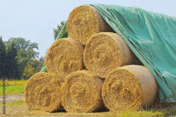 Fototapeta Heuballen