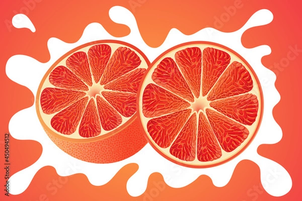Fototapeta Vector Orange/Grapefruit Slices