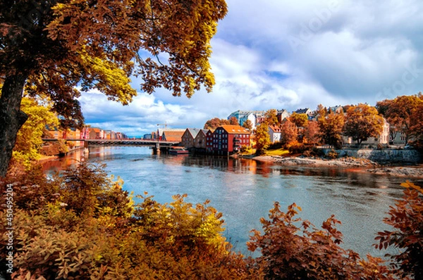 Obraz View through foliage to Nidelva river, Trondheim city, Norway