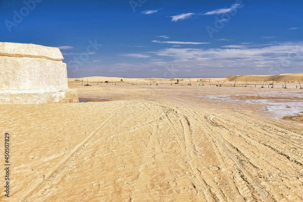 Fototapeta yellow sands and sand dunes of the Sahara Desert, saline areas, one-humped camels in the background, against the background of a blue sky covered with clouds