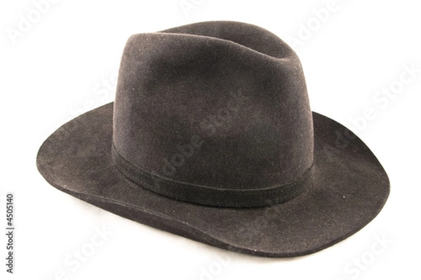 Obraz Hat