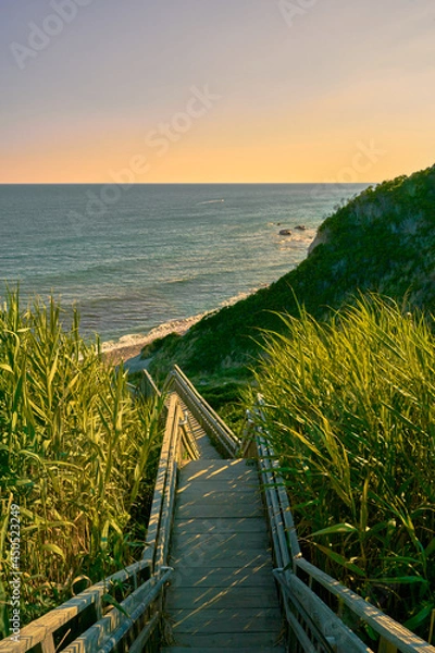 Obraz Staircase to beach