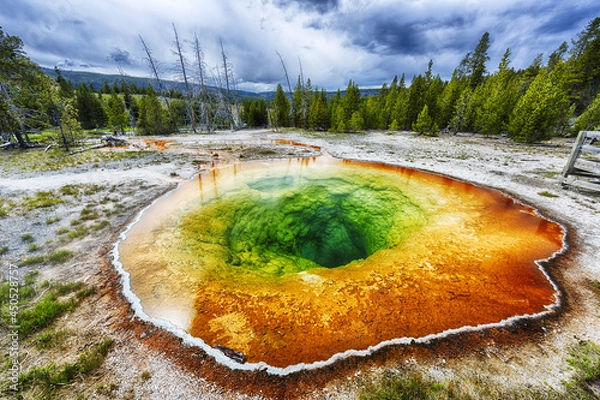 Obraz Morning glory pool in Yellowstone national park in the USA