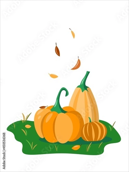 Obraz Vector orange and yellow pumpkins on the autamn grass