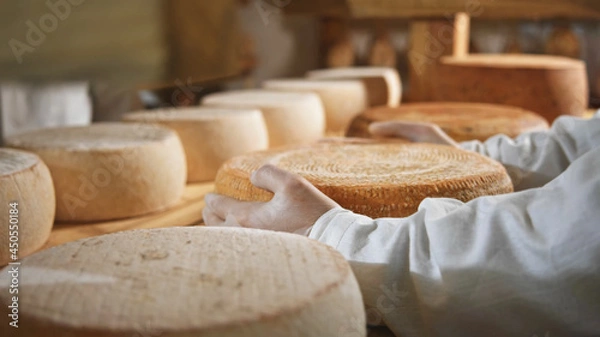 Obraz Close-up macro view of farmer hands holding big fresh exclusive yellow tasty cheese round on wooden table with sunny milky farm on background. Countryside lifestyle. Eco business. Healthy nutrition.