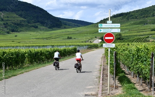 Obraz alsace...les routes du vin