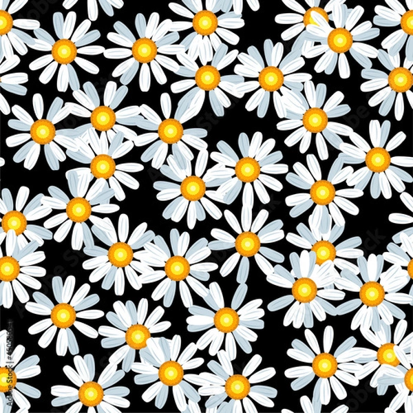 Obraz Daisy chamomile seamless vector pattern
