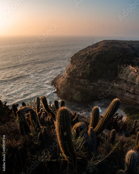 Fototapeta The sea in front of a big cliff on a beautiful sunset with cactus in the foreground