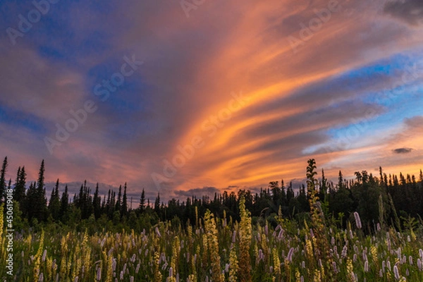 Fototapeta evening nature of the celestial teeth