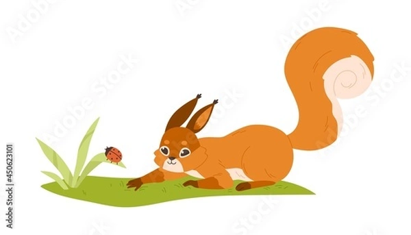 Obraz Cute small squirrel playing with ladybug in nature. Forest rodent with bushy tail hunting on bug. Happy adorable wild animal on grass. Flat vector illustration isolated on white background