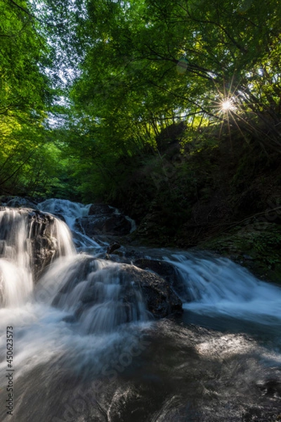 Fototapeta 魚止めの滝