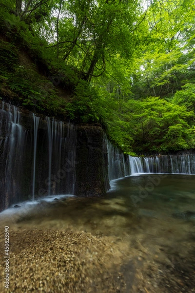 Fototapeta 白糸の滝（軽井沢）