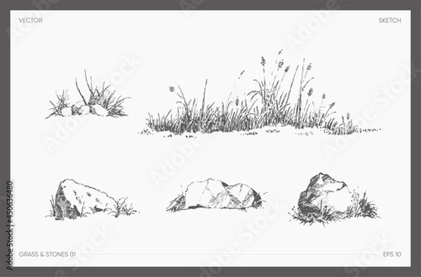 Obraz High detail drawn vector grass and stones sketch