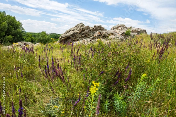 Obraz Rocks among the steppe grasses