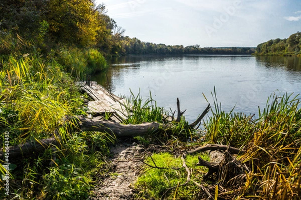 Obraz Autumn sunny day on the river