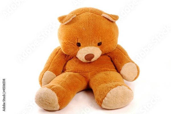 Obraz Oso peluche sentado