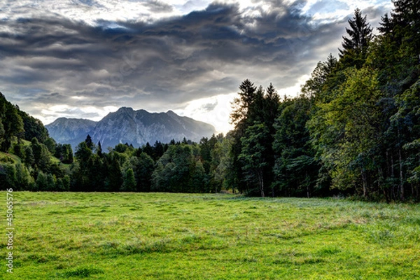 Obraz Düstere Zukunft