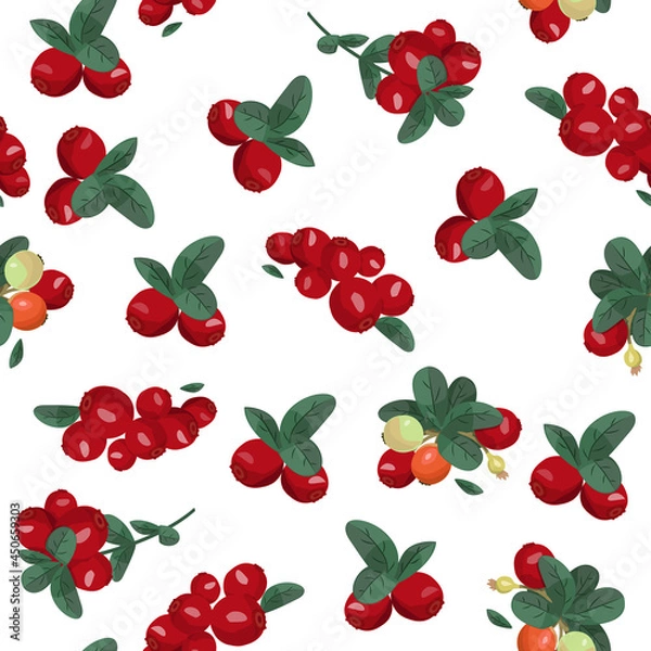 Obraz Seamless vector pattern with cranberries. Bright summer background. North Berries.