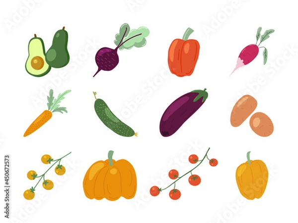 Fototapeta Set of fresh juicy vegetables from local farm. Harvest of pumpkins, beet, carrot, tomato, potato, radish, bell pepper, cucumber, avocado and eggplant. Flat vector illustration
