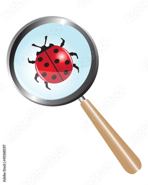 Obraz ladybug under a magnifying glass